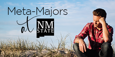 meta majors at NMSU
